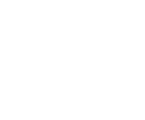 GuardeSim Self Storage. Espaço de armazenamento, Escrtórios compartilhados e Endereço Fiscal em Palhoça, na Grande Florianópolis - ícone carrinhos